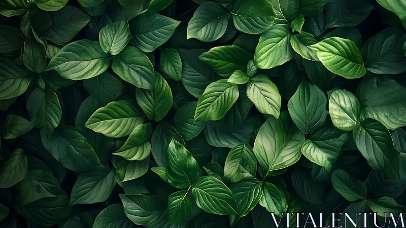 Lush green foliage texture with layered botanical depth.