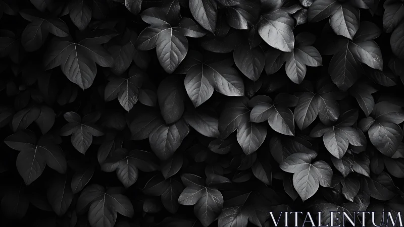 Monochrome leaf canopy renders dense, low-key tonal surface