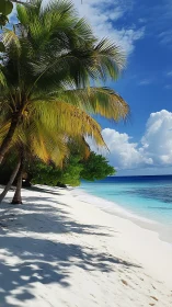 Tropical Beach Paradise. White Sand Meets Turquoise Waters.