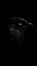 Black raven portrait with glowing orange eye on black background.
