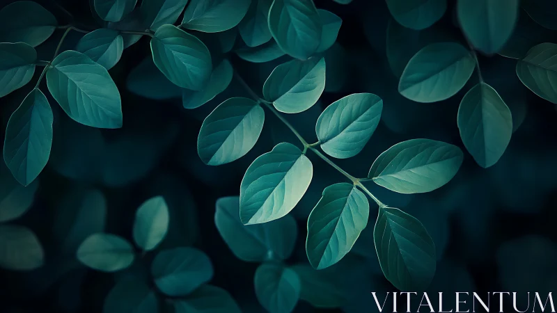 Low-key botanical foliage with cool cyan-green tonal gradation.