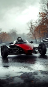 Open-wheel track car sits on wet circuit under overcast sky