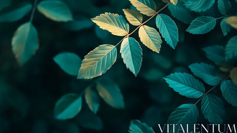 Close-up foliage with contrasting teal and yellow leaves.