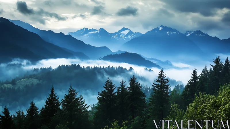 Layered conifer forest with low clouds and distant peaks.