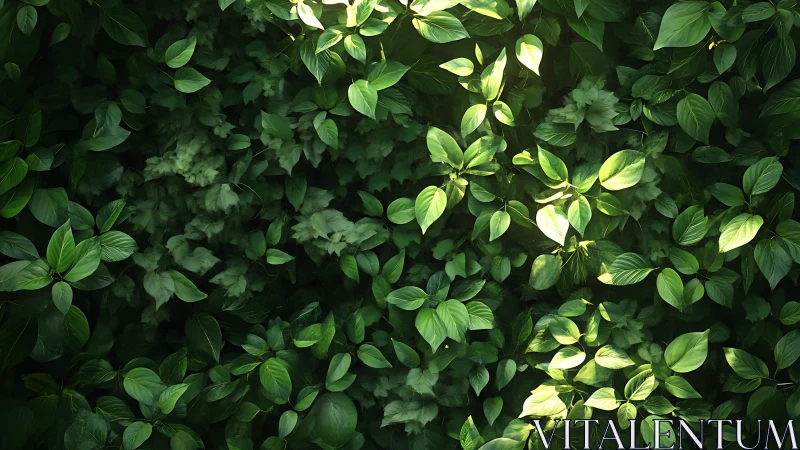 Luminous botanical canopy with layered foliage structure.
