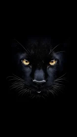 Black Panther Portrait with Golden Iris Eyes Against Ebony Background
