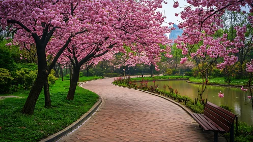 Blossoming riverside path inviting a peaceful spring stroll.