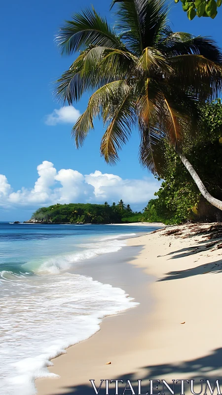 Tropical Beach Cove with Coconut Palm and Clear Waters