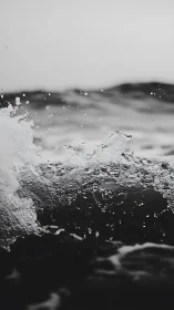 Monochrome ocean spray freezes against dark rolling waves.