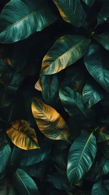 Tropical foliage study with teal shadows and golden decay.