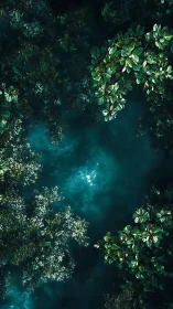 Aerial View of Turquoise Water with Coastal Vegetation