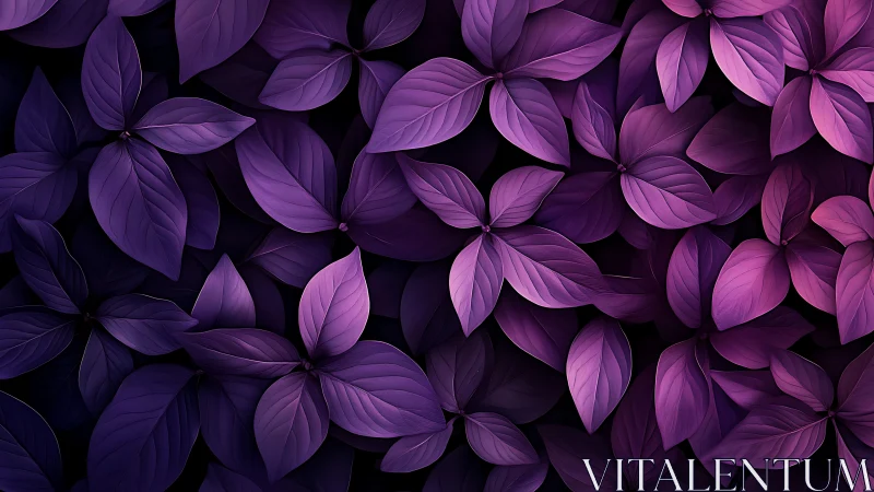 Overlapping purple leaves form a uniform, dense surface