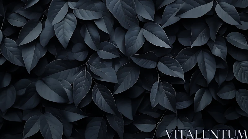 Monochrome foliage tessellation with low-key tonal rendering.