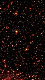 Dense stellar field with high-luminosity orange stars in deep space