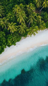 Aerial Coastline: Tropical Beach with Palm Trees.