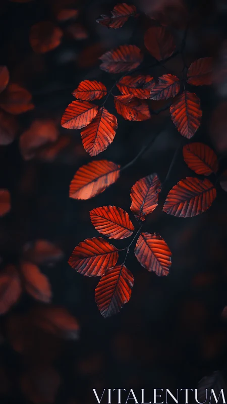 Crimson leaves suspended in deep twilight bokeh glow.