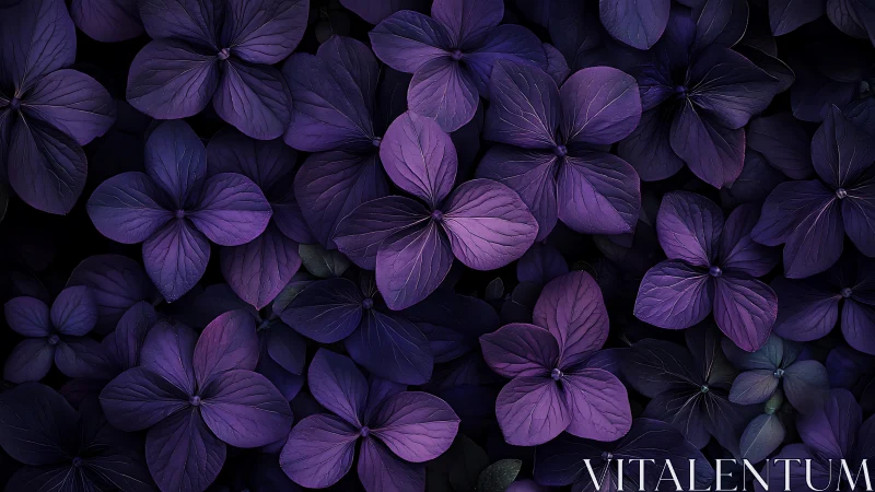 Purple Hydrangea Florets Layered Against Dark Botanical Ground