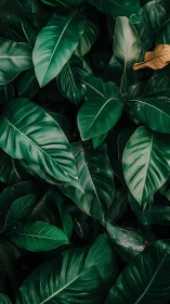 Emerald jungle tapestry with one rebellious golden leaf.