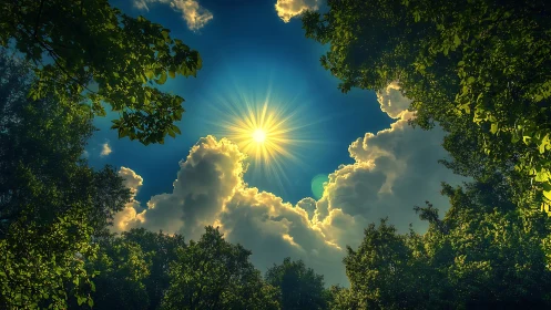 Radiant Sunburst Over Lush Forest Canopy in Vivid Nature Scene.