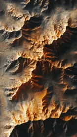 Sunlit canyon ridges rendered in high-contrast digital relief