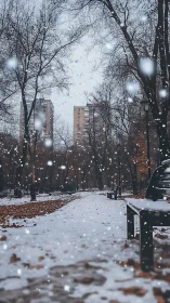 Gentle snowfall drifting through a quiet cityside park path.