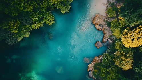 Overhead view shows turquoise river channel between dense trees