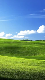 Sunlit green hills under deep blue rural summer sky.