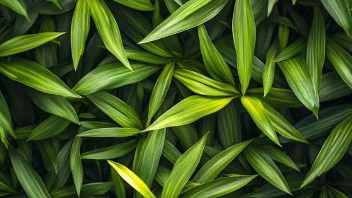 Layered tropical foliage patterns in saturated green tones.