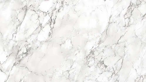 Soft white marble surface with gentle gray veining detail.