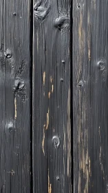 Charred wooden planks display vertical grain and knots clearly