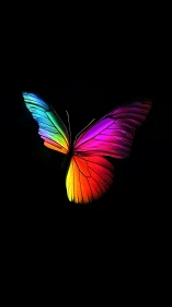 Multicolored digital butterfly silhouette on black field.