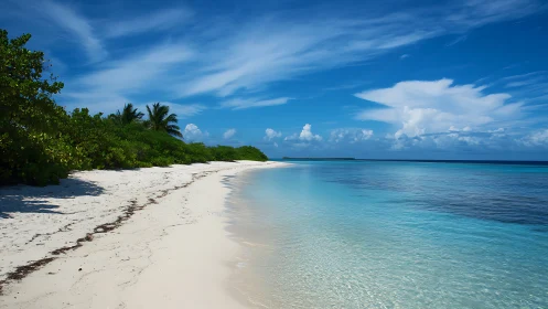 Turquoise Paradise Where Powder Sand Meets Crystalline Waters