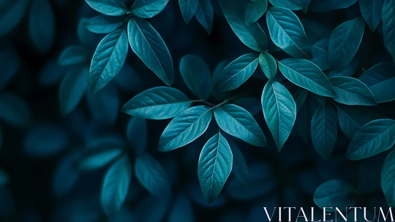 Nocturnal cyan foliage rendered in high-contrast macro focus