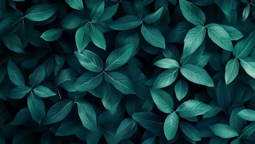 Dense overlapping teal green foliage in uniform arrangement.