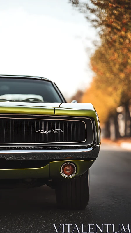 Sunlit classic muscle car poised on a quiet autumn road.