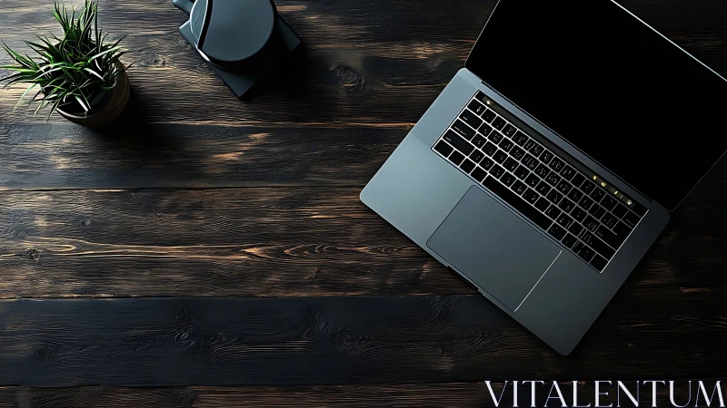 Quiet midnight workspace with steel laptop and potted green calm.