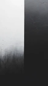 Vertical black and white textured wall surface division.