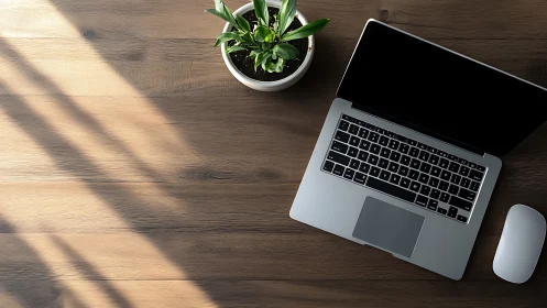 Minimalist workspace with laptop, mouse and potted plant.