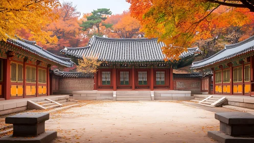 Korean palace courtyard captures vivid autumn foliage symmetry