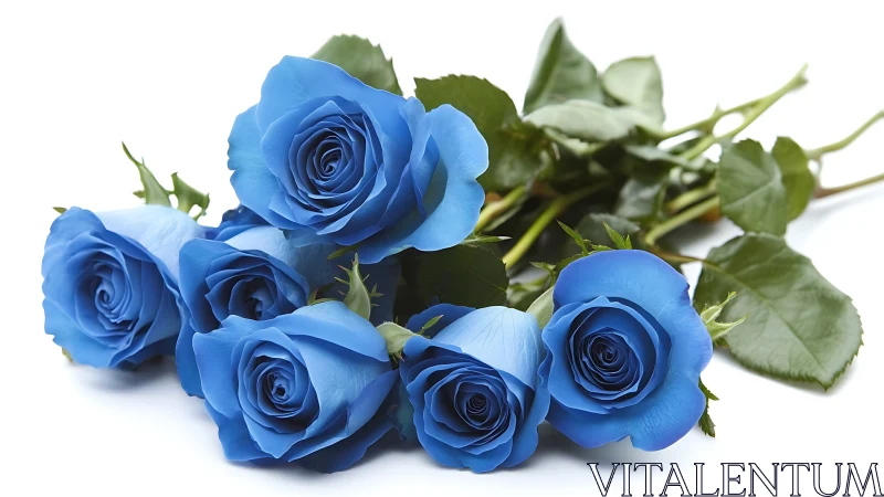 Six Blue Roses with Layered Petals and Green Foliage Composition