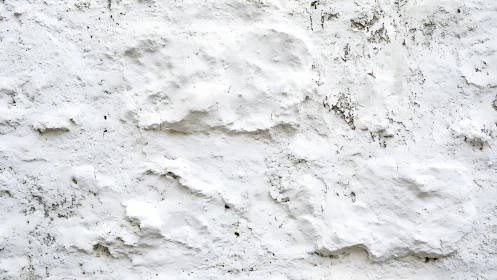 Weathered white plaster wall with rough organic texture.