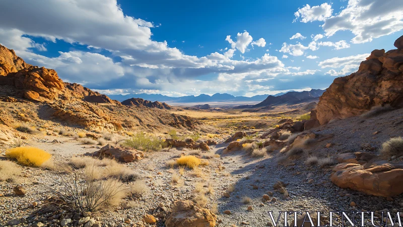 Rocky desert valley extends toward distant mountain range