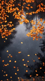 Golden leaves drifting over a quiet, inky blue waterway.