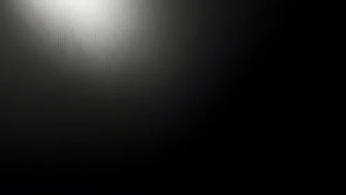 Single spotlight cuts gradient into deep black void.