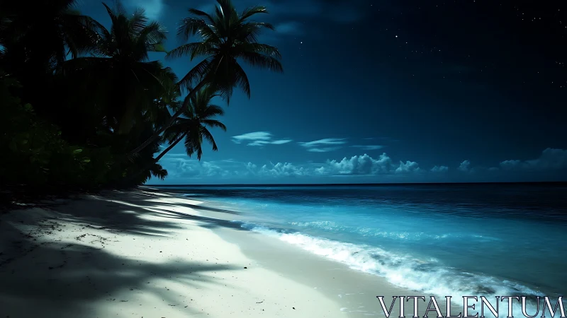 Moonlit Tropical Beach Paradise with Palm Shadows.