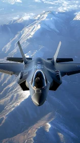 Stealth combat aircraft in level flight above snowy ridges.