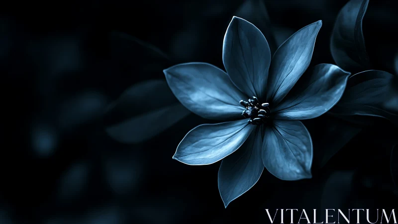 Blue Flower Against Dark Background.