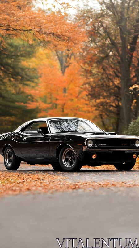 Black classic muscle car on rural road in autumn forest.
