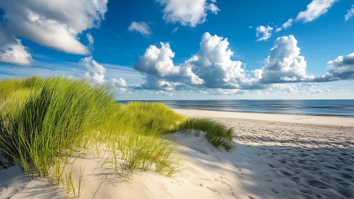 Coastal sand dunes with grasses under scattered clouds.