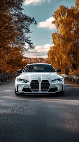 Front-facing sports coupé on autumn forest roadway at dusk.